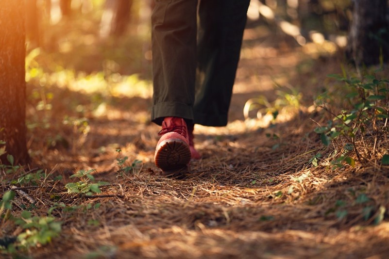 Photo of closeup of person walking through forest
