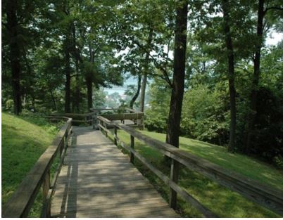 Photo of a trail in a wooded area